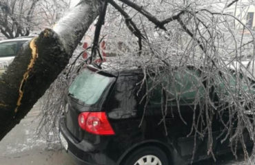 Daunele produse de copacii cazuti pe masini pot fi despagubite de asigurarea auto CASCO. Dar ce faci atunci cand nu ai CASCO?